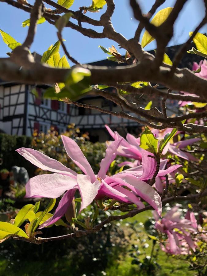 Hotel De Charme 'Zum Schiff' Iffezheim Eksteriør bilde